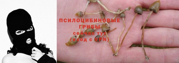кокаин перу Белокуриха