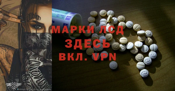 индика Беломорск