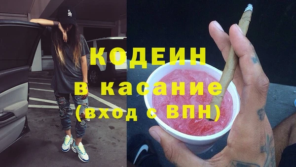 индика Беломорск