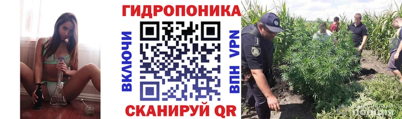 купить наркотики цена  Глазов  Шишки марихуана планчик 